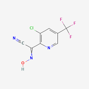 molecular formula C8H3ClF3N3O B1414514 [3-Chloro-5-(trifluoromethyl)pyridin-2-yl](hydroxyimino)acetonitrile CAS No. 1993661-37-2