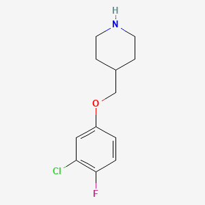 molecular formula C12H15ClFNO B14145478 4-[(3-Chloro-4-fluorophenoxy)methyl]piperidine CAS No. 883527-73-9