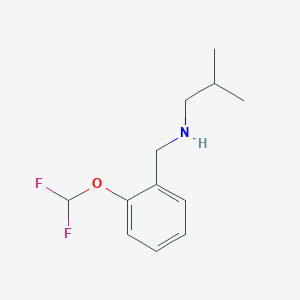 molecular formula C12H17F2NO B1414663 {[2-(Difluoromethoxy)phenyl]methyl}(2-methylpropyl)amine CAS No. 1019579-52-2