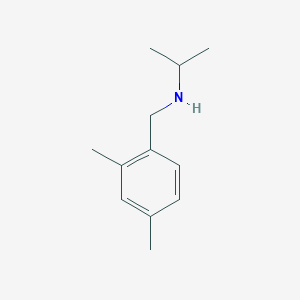 molecular formula C12H19N B1414705 [(2,4-Dimethylphenyl)methyl](propan-2-yl)amine CAS No. 1019528-37-0