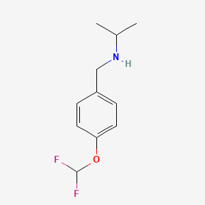 molecular formula C11H15F2NO B1414718 {[4-(二氟甲氧基)苯基]甲基}(丙-2-基)胺} CAS No. 1019528-43-8