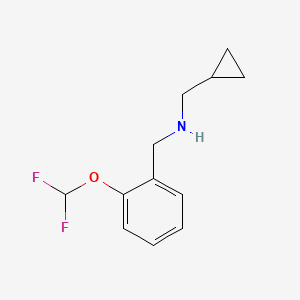 molecular formula C12H15F2NO B1414722 （环丙基甲基）（{[2-(二氟甲氧基)苯基]甲基}胺） CAS No. 1019504-37-0