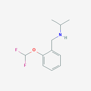 molecular formula C11H15F2NO B1414731 N-(2-(二氟甲氧基)苄基)丙-2-胺 CAS No. 1019550-54-9