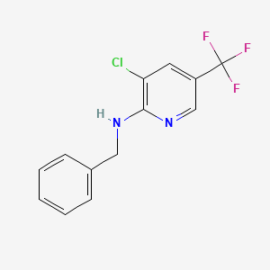 molecular formula C13H10ClF3N2 B1415037 N-苄基-3-氯-5-(三氟甲基)-2-吡啶胺 CAS No. 1041602-29-2