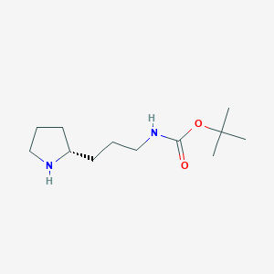 molecular formula C12H24N2O2 B1415094 (R)-(3-吡咯烷-2-基-丙基)-氨基甲酸叔丁酯 CAS No. 1217838-01-1