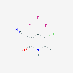 molecular formula C8H4ClF3N2O B1415109 5-氯-2-羟基-6-甲基-4-(三氟甲基)烟腈 CAS No. 1092352-68-5