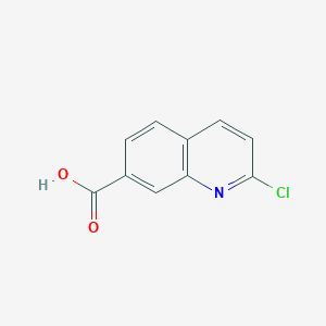 molecular formula C10H6ClNO2 B1415127 2-Chloroquinoline-7-carboxylic acid CAS No. 1092287-40-5