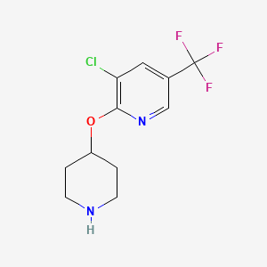 molecular formula C11H12ClF3N2O B1415293 3-Chloro-2-(piperidin-4-yloxy)-5-(trifluoromethyl)pyridine CAS No. 1092352-80-1