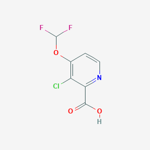 molecular formula C7H4ClF2NO3 B1415442 3-氯-4-(二氟甲氧基)吡啶-2-甲酸 CAS No. 1805955-56-9