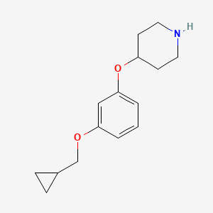 molecular formula C15H21NO2 B1415535 4-(3-Cyclopropylmethoxyphenoxy)-piperidine CAS No. 1936450-06-4