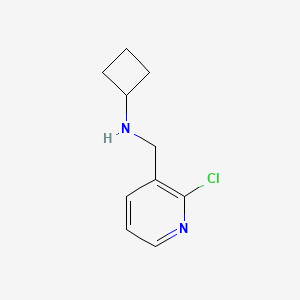 molecular formula C10H13ClN2 B1415549 N-[(2-chloropyridin-3-yl)methyl]cyclobutanamine CAS No. 1864669-95-3