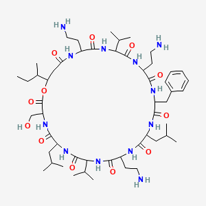 cyclo[DL-Dab-DL-Phe-DL-Leu-DL-Dab-DL-Val-DL-Leu-DL-Ser-ObAla(3-sBu)-DL-Dab-DL-Val]