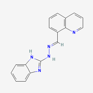 molecular formula C17H13N5 B14157542 8-[(E)-(1,3-dihydro-2H-benzimidazol-2-ylidenehydrazinylidene)methyl]quinoline 