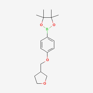 molecular formula C17H25BO4 B1415817 4,4,5,5-Tetramethyl-2-{4-[(oxolan-3-yl)methoxy]phenyl}-1,3,2-dioxaborolane CAS No. 2246431-12-7