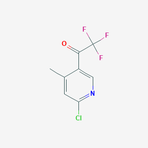 molecular formula C8H5ClF3NO B1415832 1-(6-氯-4-甲基吡啶-3-基)-2,2,2-三氟乙酮 CAS No. 2231674-66-9