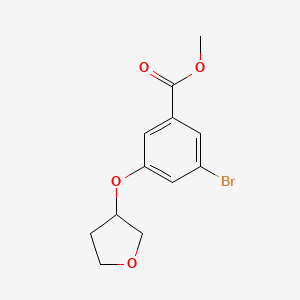 molecular formula C12H13BrO4 B1415888 Methyl 3-bromo-5-(oxolan-3-yloxy)benzoate CAS No. 1948235-09-3