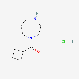 molecular formula C10H19ClN2O B1415920 Cyclobutyl(1,4-diazepan-1-yl)methanone hydrochloride CAS No. 1177013-79-4