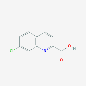 molecular formula C10H6ClNO2 B1416157 7-氯喹啉-2-羧酸 CAS No. 234444-66-7