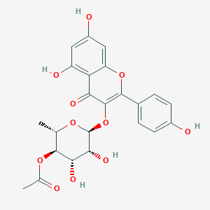 molecular formula C23H22O11 B14161756 kaempferol-3-O-(4-O-acetyl-alpha-L-rhamnopyranoside) CAS No. 135618-17-6