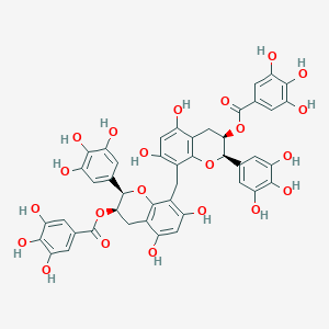 8-((5,7-Dihydroxy-2-(3,4,5-trihydroxyphenyl)-3-(3,4,5-trihydroxyphenylcarbonyloxy)chroman-8-yl)methyl)-5,7-dihydroxy-2-(3,4,5-trihydroxyphenyl)chroman-3-yl 3,4,5-trihydroxybenzoate