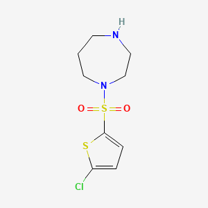 molecular formula C9H13ClN2O2S2 B1416291 1-[(5-氯噻吩-2-基)磺酰基]-1,4-二氮杂环戊烷 CAS No. 1082556-62-4