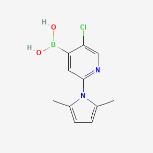 molecular formula C11H12BClN2O2 B14162998 2-(2,5-Dimethylpyrrol-1-YL)-5-chloropyridine-4-boronic acid 