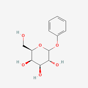 molecular formula C12H16O6 B14163072 Phenyl-D-galactopyranoside CAS No. 31567-61-0