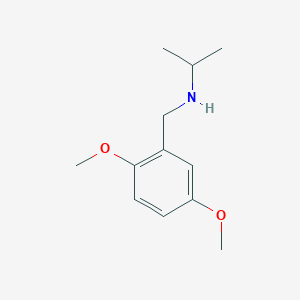 molecular formula C12H19NO2 B1416323 [(2,5-Dimethoxyphenyl)methyl](propan-2-yl)amine CAS No. 1019550-51-6