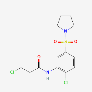 molecular formula C13H16Cl2N2O3S B1416528 3-氯-N-[2-氯-5-(吡咯烷-1-磺酰基)苯基]丙酰胺 CAS No. 1087784-08-4