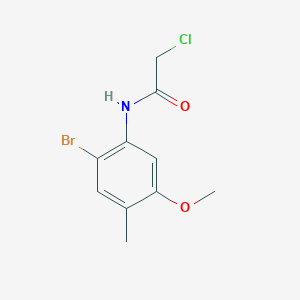 molecular formula C10H11BrClNO2 B1416533 N-(2-溴-5-甲氧基-4-甲基苯基)-2-氯乙酰胺 CAS No. 1135282-90-4