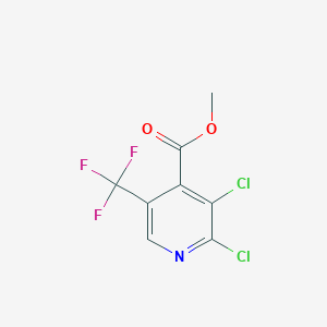 B1416584 Methyl 2,3-dichloro-5-(trifluoromethyl)-isonicotinate CAS No. 1147979-43-8
