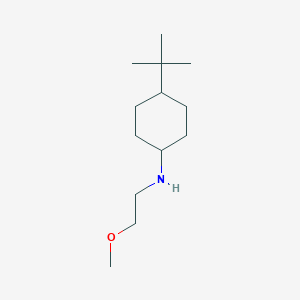 molecular formula C13H27NO B1416598 4-叔丁基-N-(2-甲氧基乙基)环己胺 CAS No. 416864-62-5