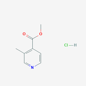 molecular formula C8H10ClNO2 B1416706 Methyl 3-methylisonicotinate hydrochloride CAS No. 1173025-60-9