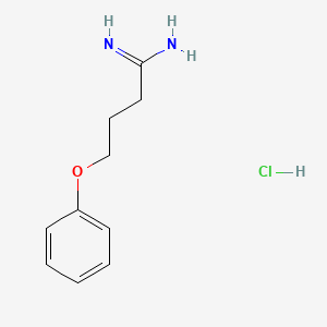 molecular formula C10H15ClN2O B1416736 4-Phenoxybutanimidamide hydrochloride CAS No. 1071580-36-3