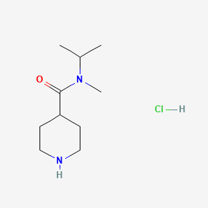 molecular formula C10H21ClN2O B1416768 N-异丙基-N-甲基哌啶-4-甲酰胺盐酸盐 CAS No. 1173047-58-9