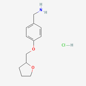 molecular formula C12H18ClNO2 B1416814 1-[4-(四氢呋喃-2-基甲氧基)苯基]甲胺盐酸盐 CAS No. 1172099-78-3