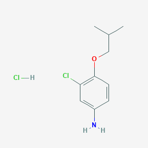 molecular formula C10H15Cl2NO B1416823 3-氯-4-异丁氧基苯胺盐酸盐 CAS No. 1170938-91-6