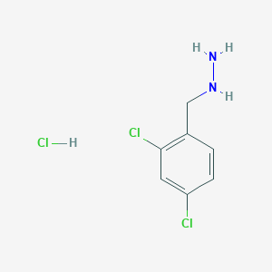 molecular formula C7H9Cl3N2 B1416845 (2,4-二氯苄基)肼盐酸盐 CAS No. 879645-40-6