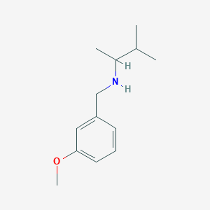 molecular formula C13H21NO B1417242 [(3-Methoxyphenyl)methyl](3-methylbutan-2-yl)amine CAS No. 1040308-99-3