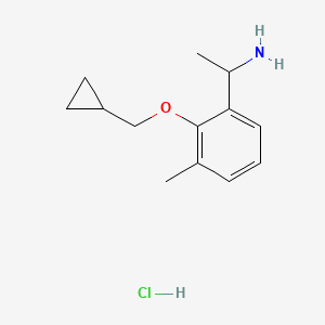 B1417361 1-(2-Cyclopropylmethoxy-3-methylphenyl)-ethylamine hydrochloride CAS No. 2206609-70-1