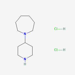 molecular formula C11H24Cl2N2 B1417987 1-哌啶-4-基-氮杂环己烷二盐酸盐 CAS No. 871112-73-1