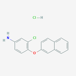 molecular formula C16H13Cl2NO B1417997 3-氯-4-(2-萘氧基)苯胺盐酸盐 CAS No. 298220-68-5