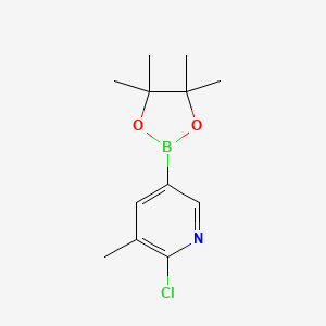 molecular formula C12H17BClNO2 B1418028 2-氯-3-甲基-5-(4,4,5,5-四甲基-1,3,2-二氧杂硼环-2-基)吡啶 CAS No. 1010101-07-1