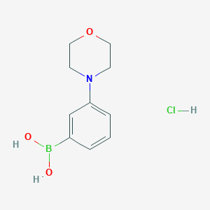 molecular formula C10H15BClNO3 B1418068 盐酸（3-吗啉基苯基）硼酸 CAS No. 863248-20-8
