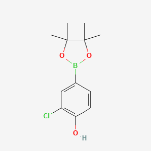 molecular formula C12H16BClO3 B1418396 2-氯-4-(4,4,5,5-四甲基-1,3,2-二恶杂硼烷-2-基)苯酚 CAS No. 629658-06-6