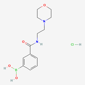 molecular formula C13H20BClN2O4 B1418412 (3-((2-吗啉乙基)氨基羰基)苯基)硼酸盐酸盐 CAS No. 957060-89-8