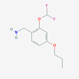B1418623 [2-(Difluoromethoxy)-4-propoxyphenyl]methanamine CAS No. 1155117-39-7