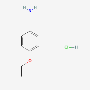 molecular formula C11H18ClNO B1418734 [1-(4-乙氧基苯基)-1-甲基乙基]胺盐酸盐 CAS No. 1185442-53-8