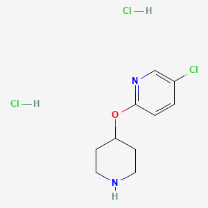 molecular formula C10H15Cl3N2O B1418796 5-氯-2-(哌啶-4-氧基)吡啶二盐酸盐 CAS No. 944390-66-3