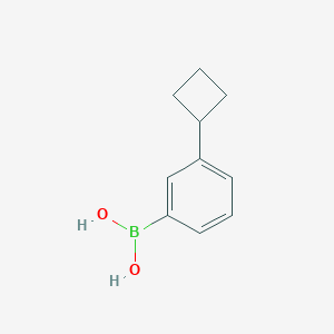 molecular formula C10H13BO2 B1418814 (3-Cyclobutylphenyl)boronic acid CAS No. 1381885-38-6